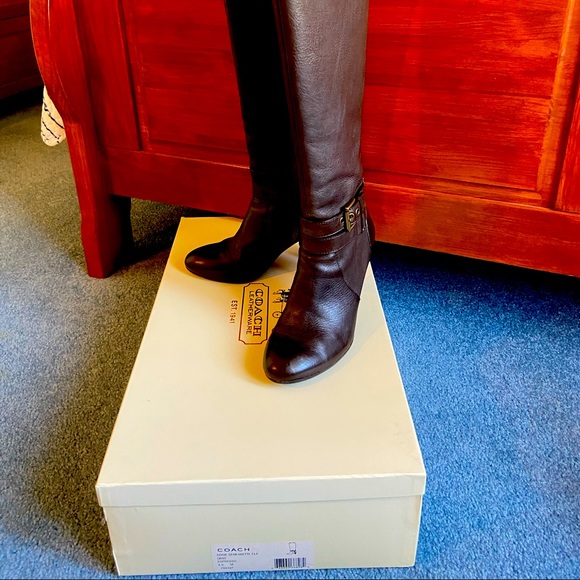 Coach Addie tall boot in Espresso - Picture 1 of 3